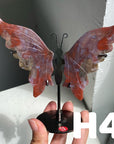 Small Butterfly Wings