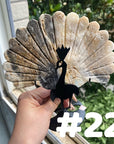 Clearance Peacock Wings