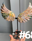 Angel Wings