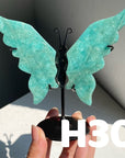 Small Butterfly Wings