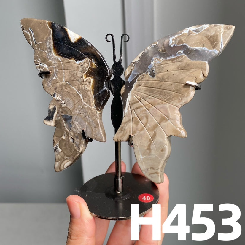 Small Butterfly Wings