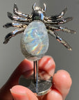 Crystal Spiders