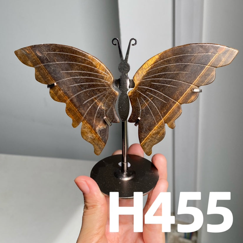Small Butterfly Wings