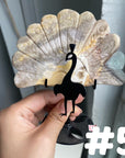 Clearance Peacock Wings