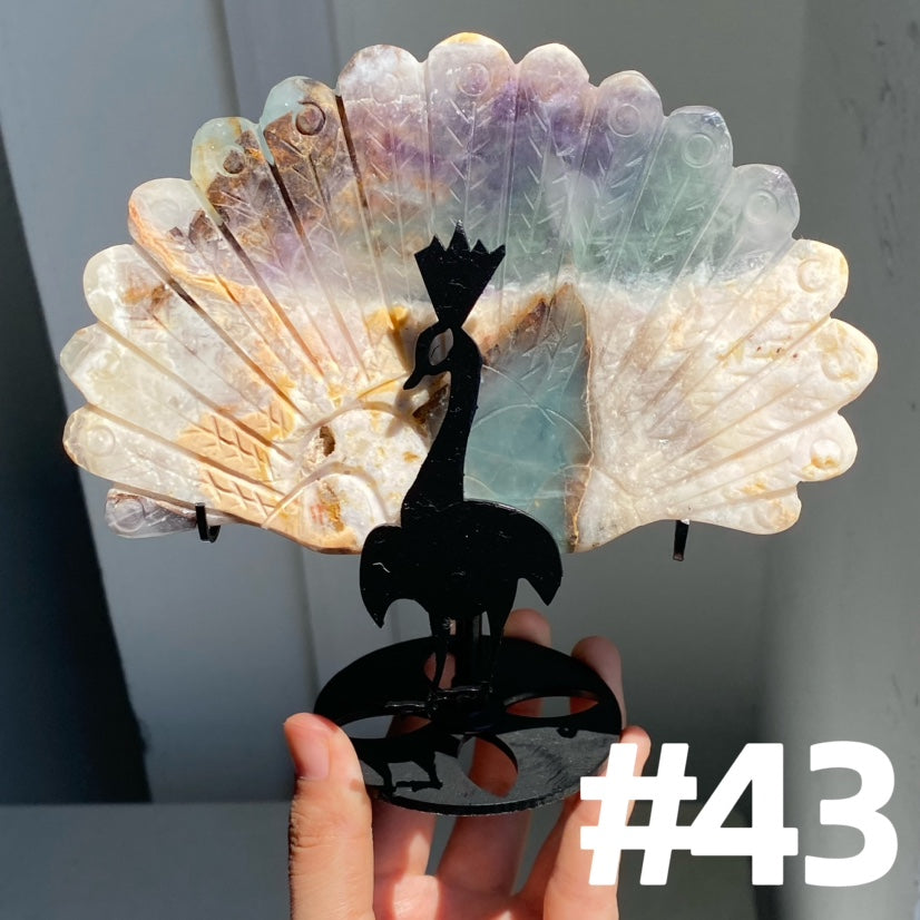 Clearance Peacock Wings