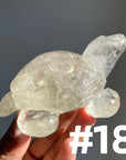 Crystal Turtle