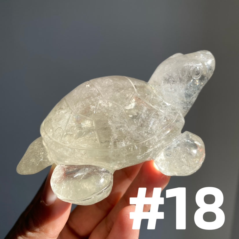 Crystal Turtle