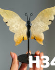 Small Butterfly Wings