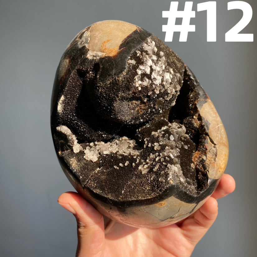 Septarian Egg & Freeform