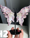 Small Butterfly Wings