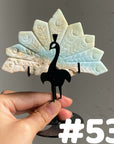 Clearance Peacock Wings(imperfect)