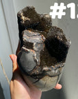 Septarian Egg & Freeform