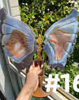 Druzy Agate Butterfly Wings