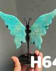 Small Butterfly Wings