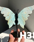 Small Butterfly Wings