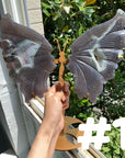 Druzy Agate Butterfly Wings