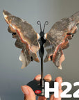 Small Butterfly Wings