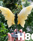 Small Butterfly Wings