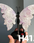 Small Butterfly Wings