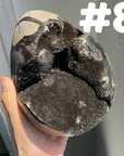Septarian Egg & Freeform
