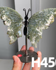 Small Butterfly Wings
