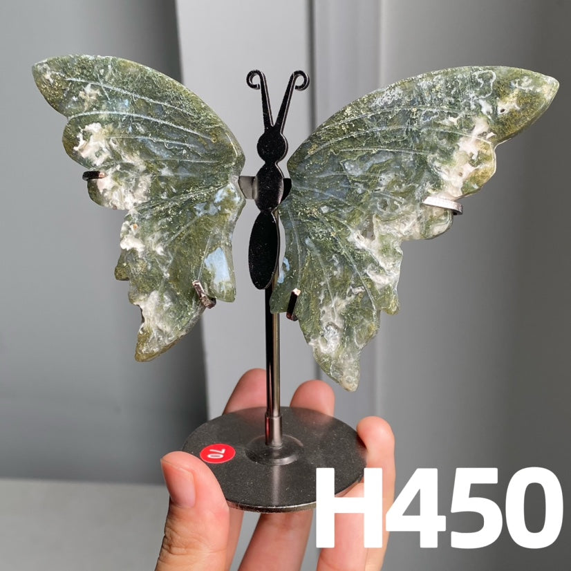 Small Butterfly Wings