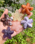 Crystal Starfish