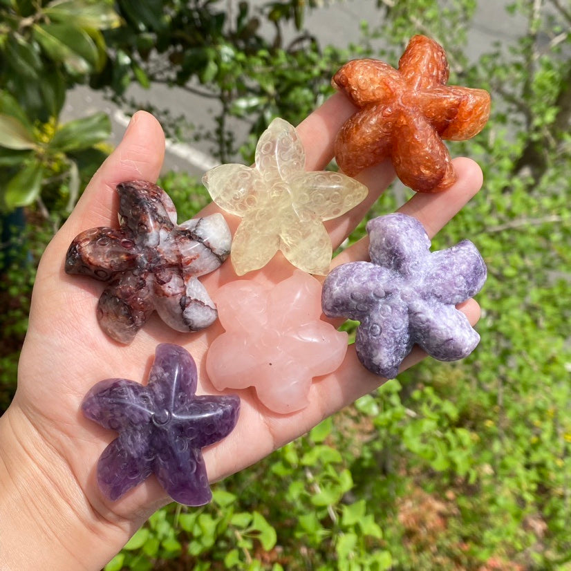 Crystal Starfish