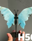 Small Butterfly Wings