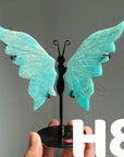 Small Butterfly Wings