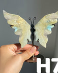 Small Butterfly Wings