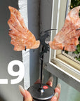 Dragon Wings