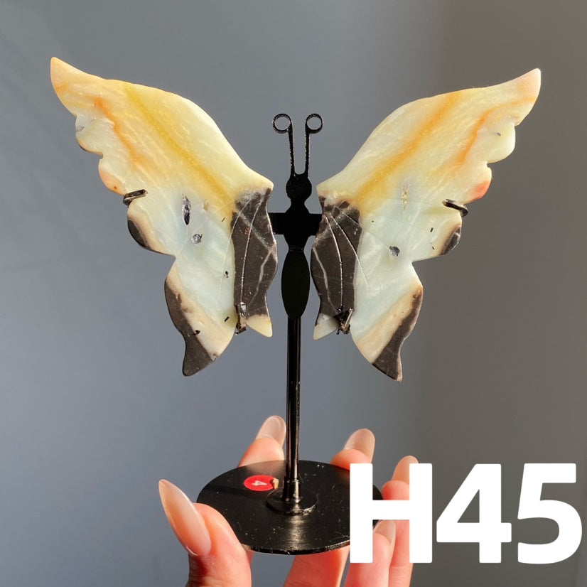 Small Butterfly Wings