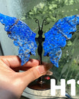 Small Butterfly Wings