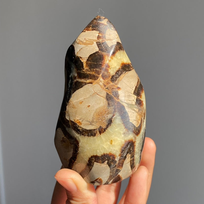 Septarian Flame