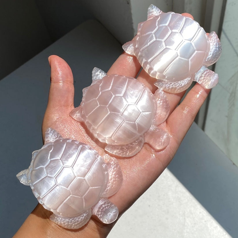Simone's Turtle Collection Selenite Turtle – Simmon Crystal Wholesale