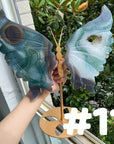 Druzy Agate Butterfly Wings