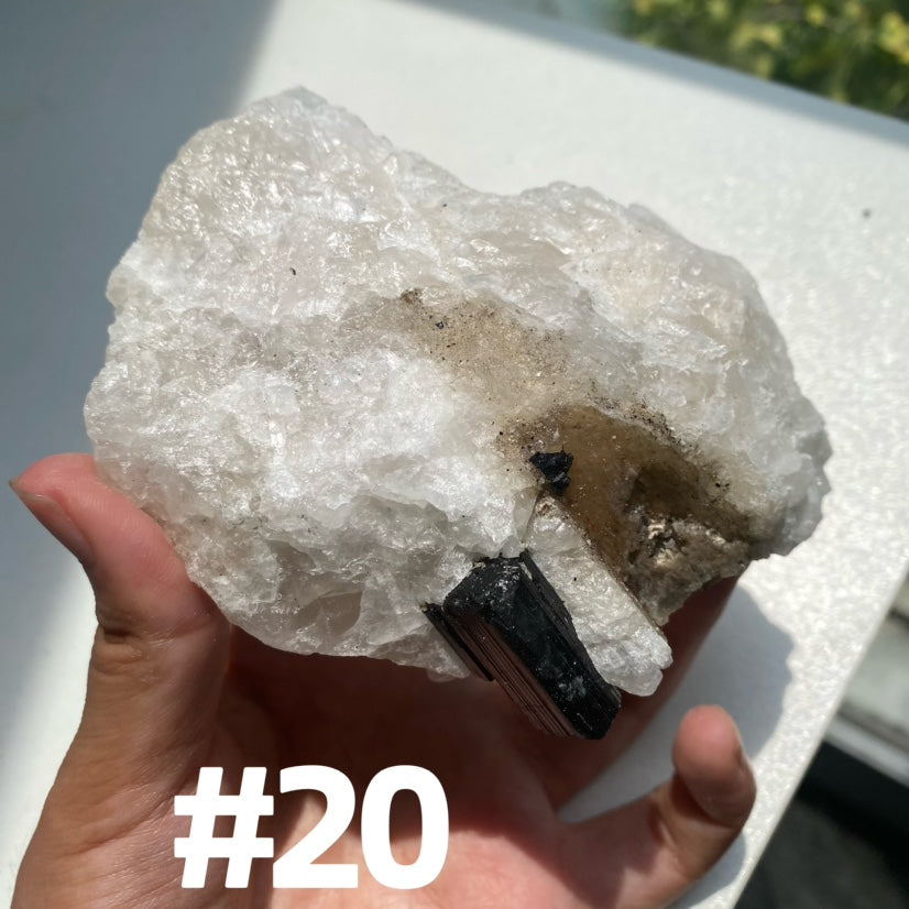 Tourmaline in Quartz Specimen