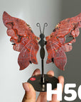 Small Butterfly Wings