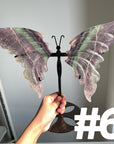 Fluorite Butterfly Wings