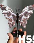 Small Butterfly Wings