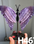 Small Butterfly Wings