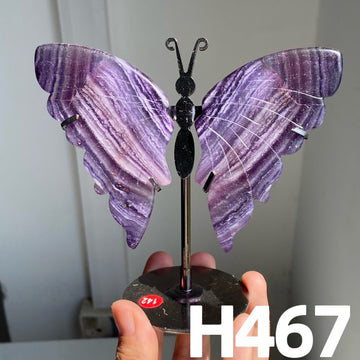 Small Butterfly Wings