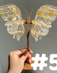 Golden Healer Butterflly (imperfect)