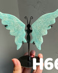 Small Butterfly Wings