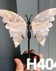 Small Butterfly Wings