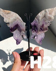 Small Butterfly Wings