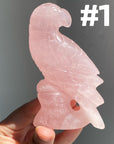 Rose Quartz Parrot