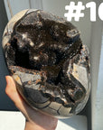 Septarian Egg & Freeform