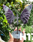 Small Butterfly Wings